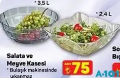 SALATA VE MEYVE KASESİ SALATA VE MEYVE KASESİ